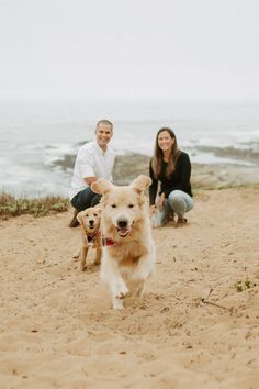 a couple and their dog running on the beach