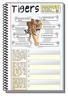 a book with an image of a tiger on the page and words in each section