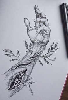 a pencil drawing of a hand holding a plant on top of a piece of paper