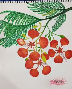 a drawing of red flowers and green leaves on a white paper with watercolor pencils