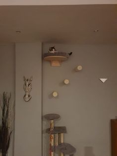 a cat tree in the corner of a room