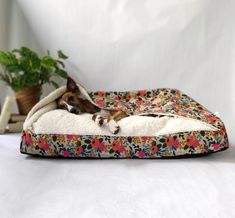 a dog laying on top of a flowered bed next to a potted plant