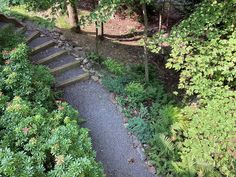 an aerial view of some steps in the woods