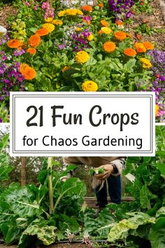 Chaos garden Interplanting Garden Layout, Different Types Of Gardens, Market Garden Ideas, Family Garden Ideas, Hillside Orchard, Chaos Gardening, Gardening Benefits, Types Of Gardens, Landscape Cottage