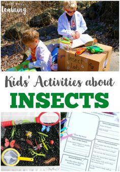 kids'activities about insects and how to use them