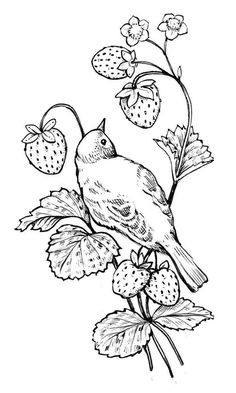 a bird sitting on top of a branch with strawberries in the foreground and leaves around it