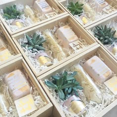 six boxes filled with different types of soaps and plants on top of each box