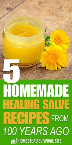 Homemade Healing Salve, Healing Salve Recipe, Salve Recipes, Herbal Salves, Boho Lifestyle, Healing Salves, Natural Healing Remedies, Natural Therapy, Healing Herbs