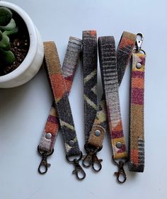 four leashes are lined up next to a potted plant