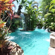 an outdoor swimming pool surrounded by trees and rocks, with a waterfall in the middle