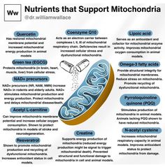 Mitochondrial Myopathy, Mitochondrial Health, William Wallace, Health Wellbeing, Medical Knowledge, Health Habits