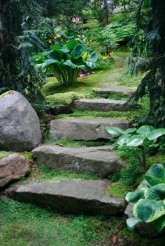 a stone path in the middle of a lush green forest with large rocks and plants