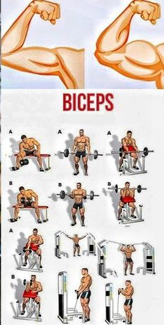 an image of a man doing squats on a bench with the words biceps above it