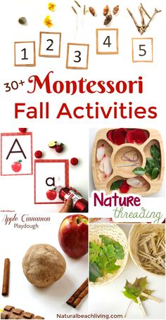 montessoi fall activities for kids with apples, cinnamons and other things to make them