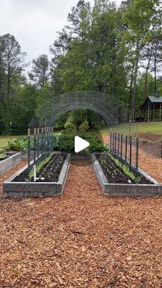 an outdoor garden with lots of plants and trees in the background, surrounded by mulch