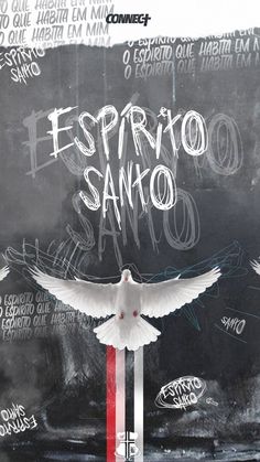 a white bird flying in front of a chalkboard with writing on it's side