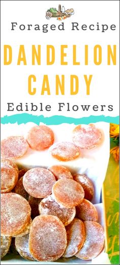 the recipe for dandelion candy edible flowers