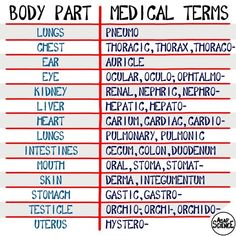 the body part medical terms are written in red and blue on a white background