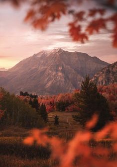 the mountains are covered in autumn foliage and trees with red leaves on them, as the sun is setting