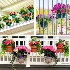 Garden Railings, Deck Outdoor, Plant Clips, Railing Planters, Floating Garden, Vertical Gardens, Backyard Deck, House Plant Care, Deck Garden