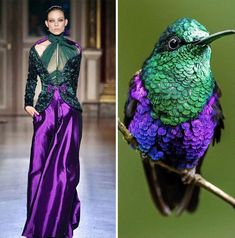 two pictures one with a purple dress and the other with a green bird on it