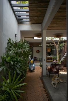 a dog laying on the ground in front of a house with an open patio area