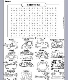 an ocean word search is shown with the words and pictures below it, which are all in