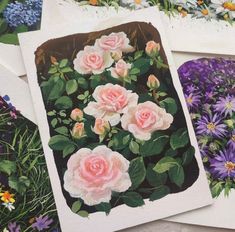 several different colored flowers are shown in this image, including pink roses and purple daisies