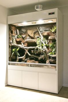 a fish tank with rocks and plants in it's back wall, next to a window