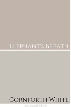 the cover of elephant's breath by cornforth white, which is in grey and beige