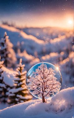 a snow globe with a tree in it and the sun shining through the trees behind it