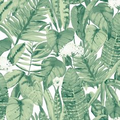 a green and white wallpaper with lots of leaves