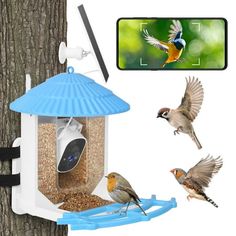 the bird feeder is attached to a tree with three birds flying around it and one has a camera