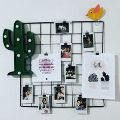 there is a metal rack with pictures on it and a cactus hanging from the wall