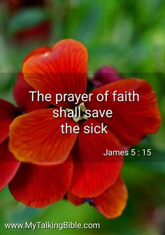 a red flower with the words, the prayer of faith shall save the sick