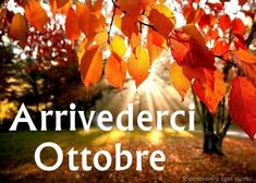 the words arrivederci ottobre are in front of an autumn tree