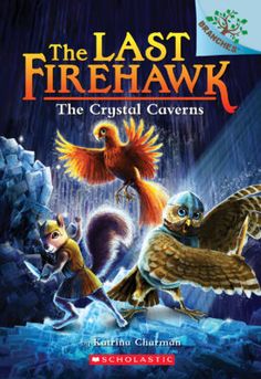 the last firehawk book cover with an image of two birds flying above it and another bird