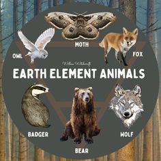 an image of animals that are in the forest with words describing them and their names