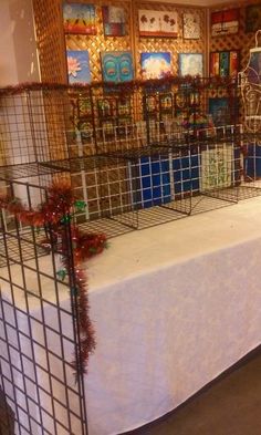 several cages are set up on a table in front of a wall covered with pictures