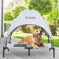 a golden retriever laying on top of a dog bed