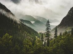 the mountains are covered in fog and clouds as they sit on top of some trees