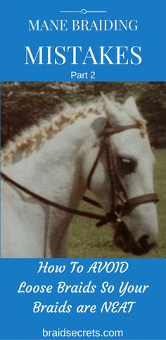 a white horse with braids on it's bridle and the words how to avoid loose braids so your braids are n / oat