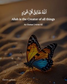 a butterfly sitting on top of sand with the words,'allah is the creator of all things '