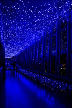 people are standing under blue lights in a room filled with windows and glass walls, all lit up at night