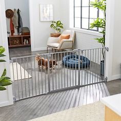 a living room with a baby gate in the middle and two small dogs on the other side