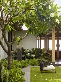 a chair sitting on top of a lush green field next to a tree and bushes