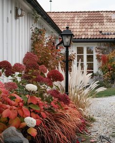 a house with red and white flowers next to it's front yard in the fall