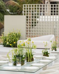 the table is set with white chairs and plants in vases on top of it