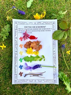 a sheet of paper sitting on top of green grass next to flowers and leaves with the words can you find a rainbow?