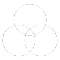 three circles are shown in the shape of a circle